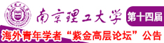 想操你视频网站南京理工大学第十四届海外青年学者紫金论坛诚邀海内外英才！